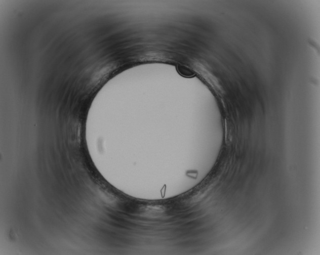 X0000096960157200803071059