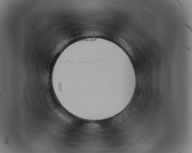 X0000096960159200803071059