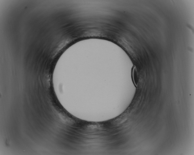 X0000096960160200803071059