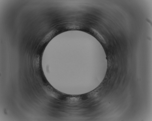 X0000096960163200803071059