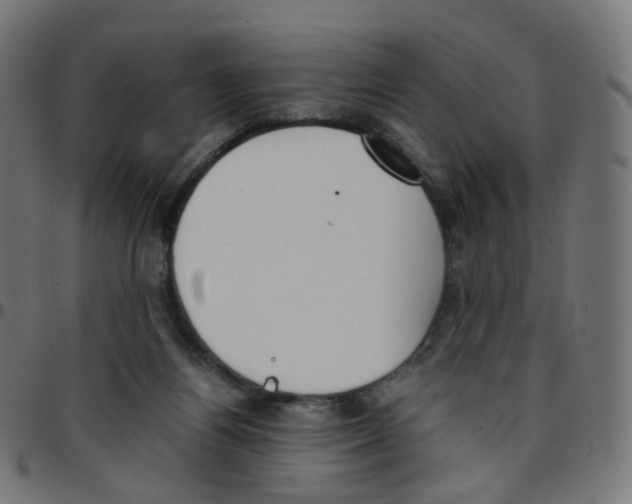 X0000096960164200803071059