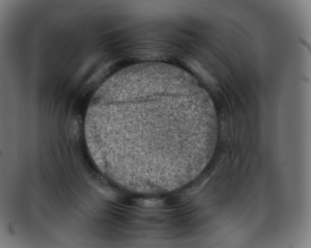 X0000096960165200803071059