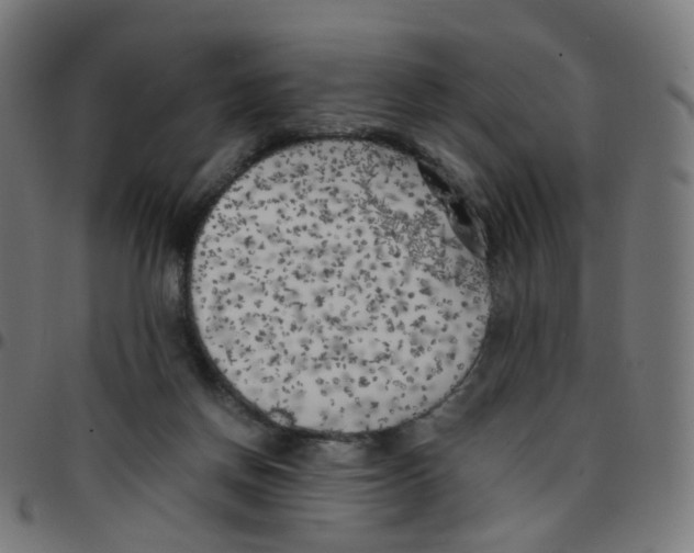 X0000096960166200803071059