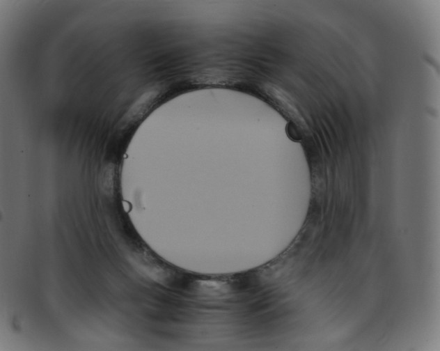 X0000096960167200803071059