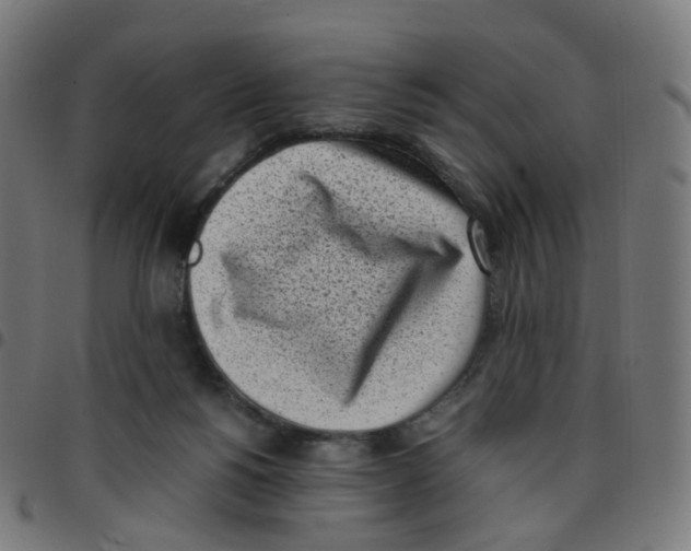 X0000096960168200803071059