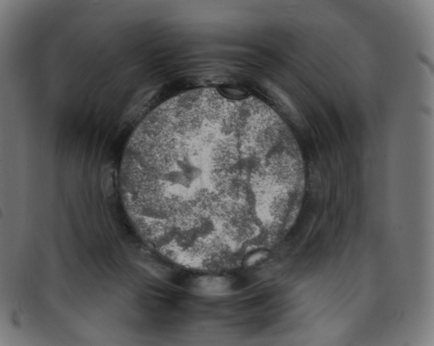 X0000096960169200803071059