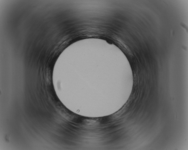 X0000096960170200803071059