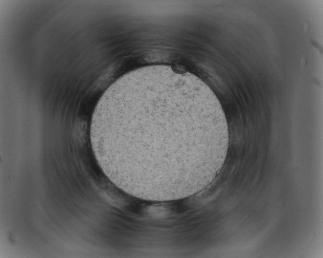 X0000096960171200803071059