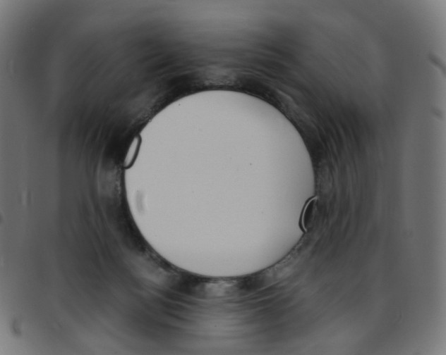 X0000096960172200803071059