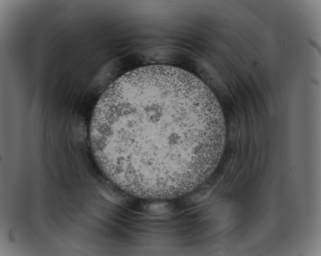 X0000096960173200803071059