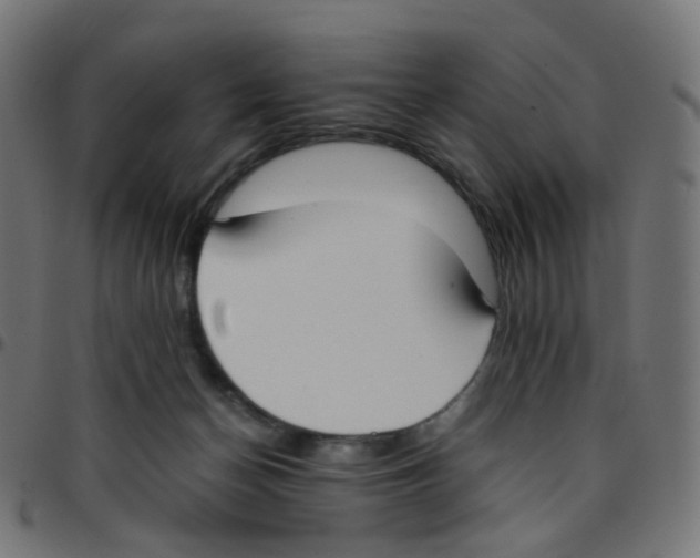 X0000096960174200803071059