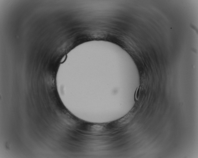 X0000096960176200803071059