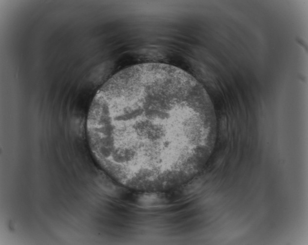 X0000096960177200803071059