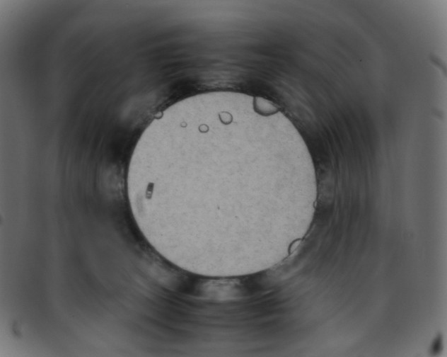 X0000096960179200803071059