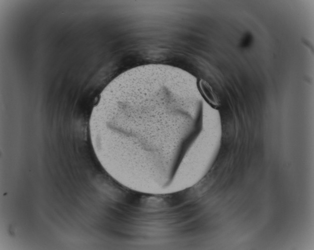 X0000096960180200803071059