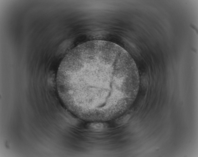 X0000096960181200803071059