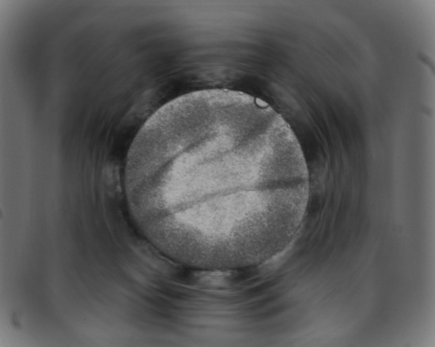 X0000096960182200803071059