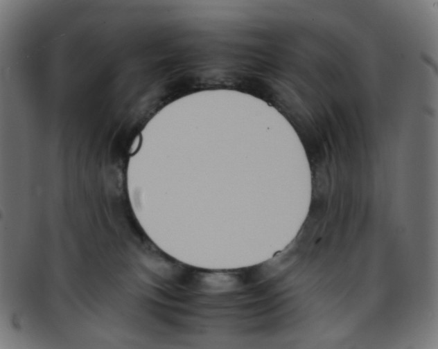 X0000096960183200803071059