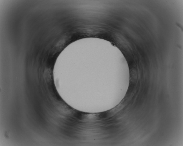 X0000096960184200803071059