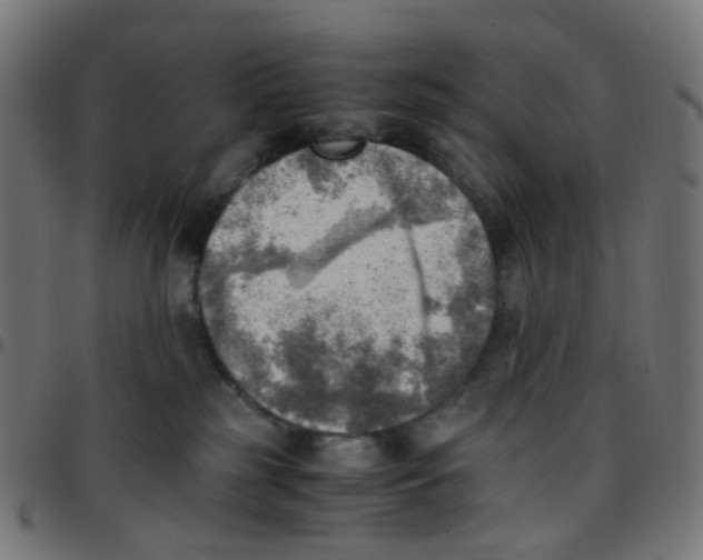 X0000096960185200803071059