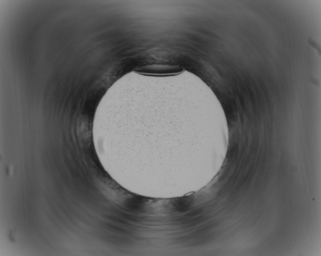 X0000096960186200803071059