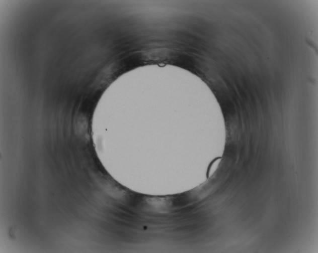 X0000096960187200803071059