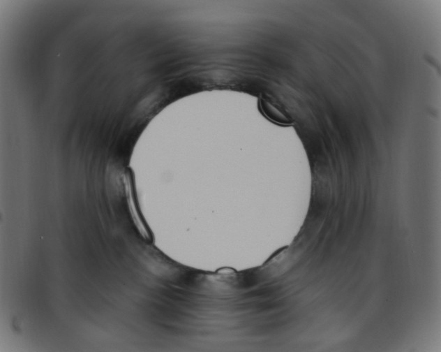 X0000096960188200803071059