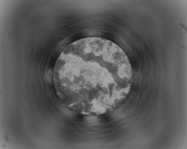 X0000096960189200803071059