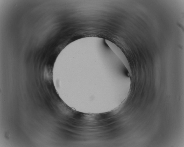 X0000096960190200803071059