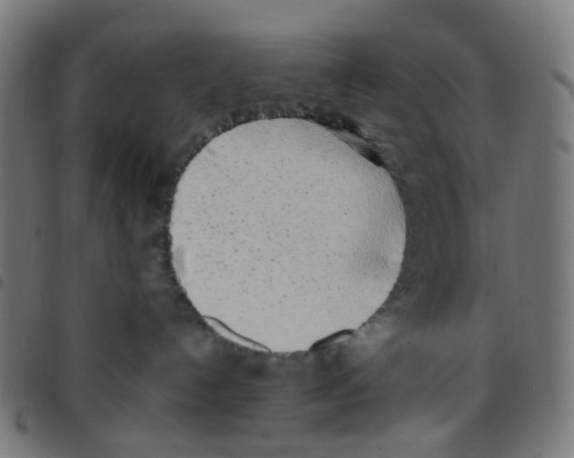 X0000096960192200803071059