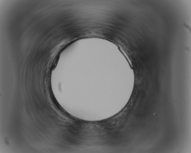 X0000096960193200803071058