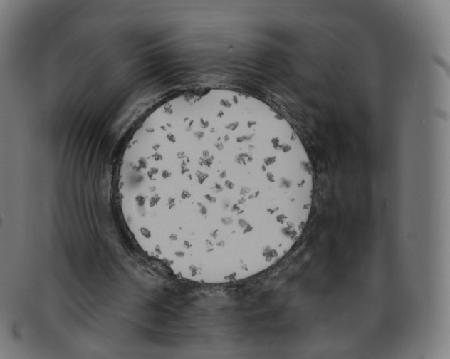 X0000096960194200803071058