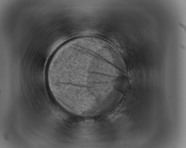 X0000096960196200803071058