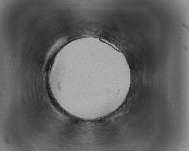 X0000096960197200803071058