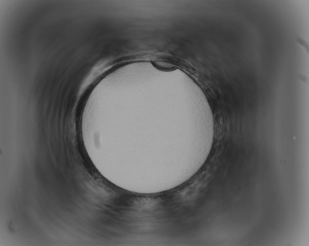 X0000096960198200803071058