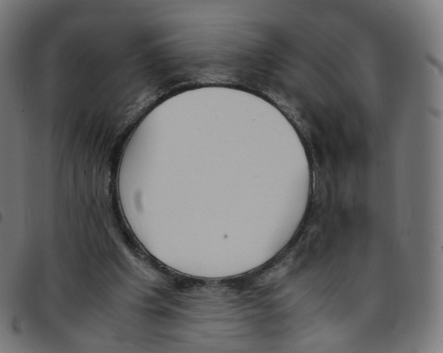 X0000096960201200803071058