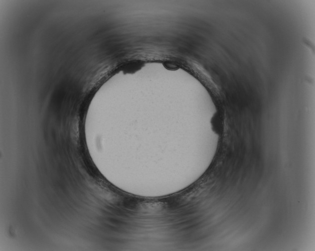 X0000096960202200803071058