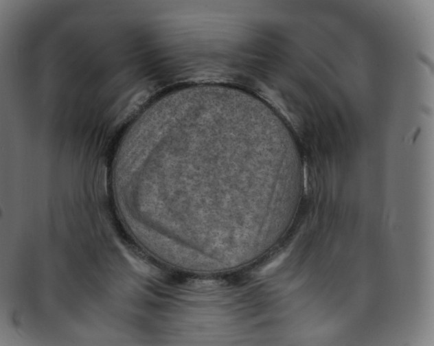 X0000096960205200803071058