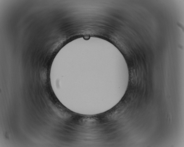 X0000096960208200803071058