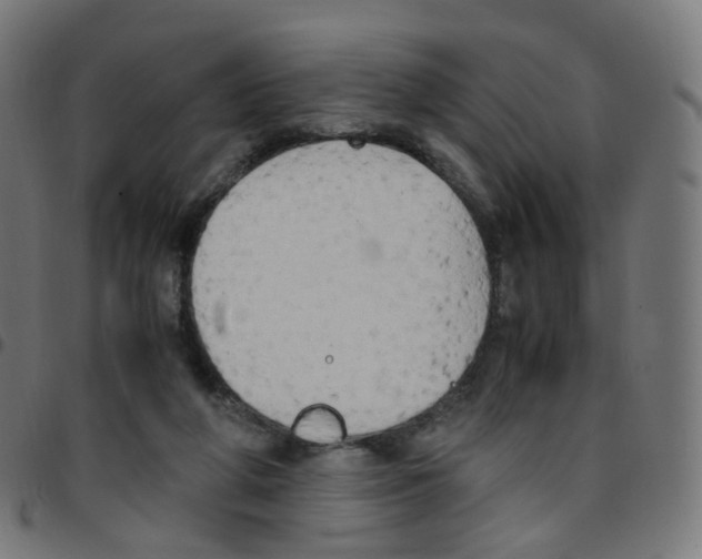 X0000096960210200803071058