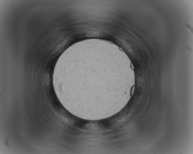 X0000096960211200803071058