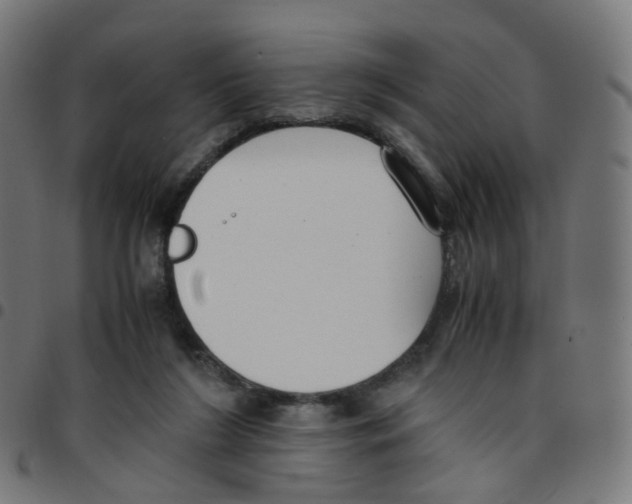 X0000096960212200803071058