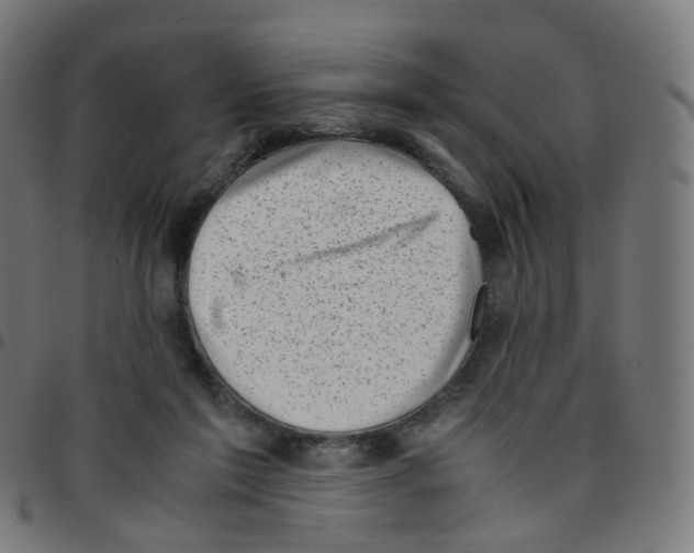 X0000096960213200803071058