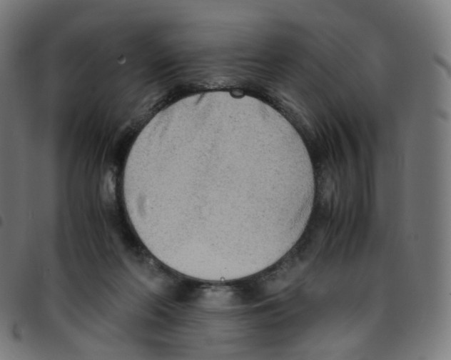 X0000096960214200803071058