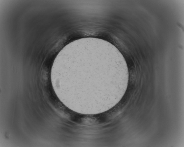 X0000096960215200803071058