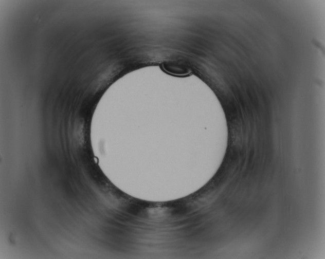 X0000096960216200803071058