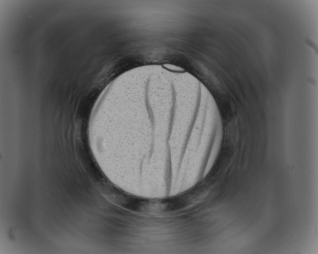 X0000096960217200803071058