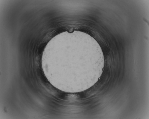 X0000096960218200803071058