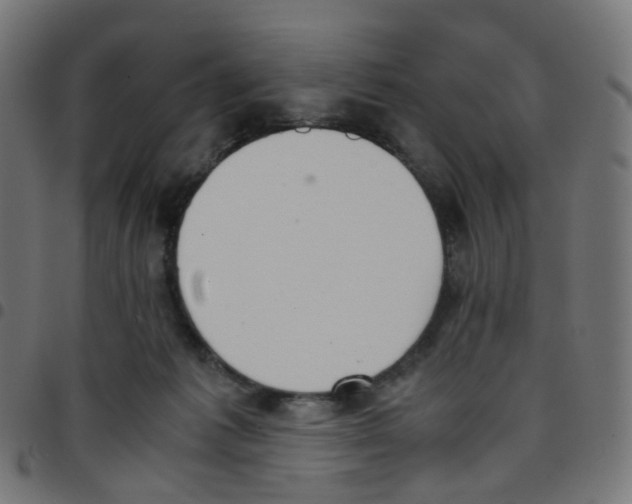 X0000096960221200803071058