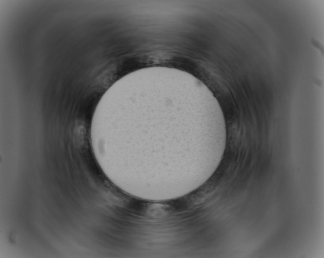 X0000096960222200803071058